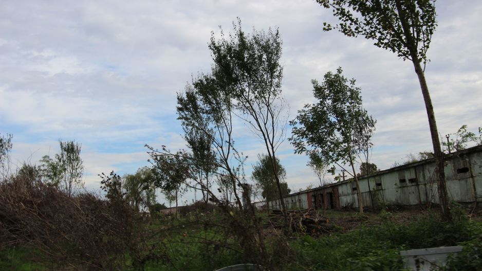 Vanzare hale Mosnita Noua-fosta Ferma 7 - Poză 23