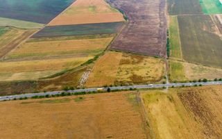 Teren de 19798mp în Zimandu Nou - Poză 7