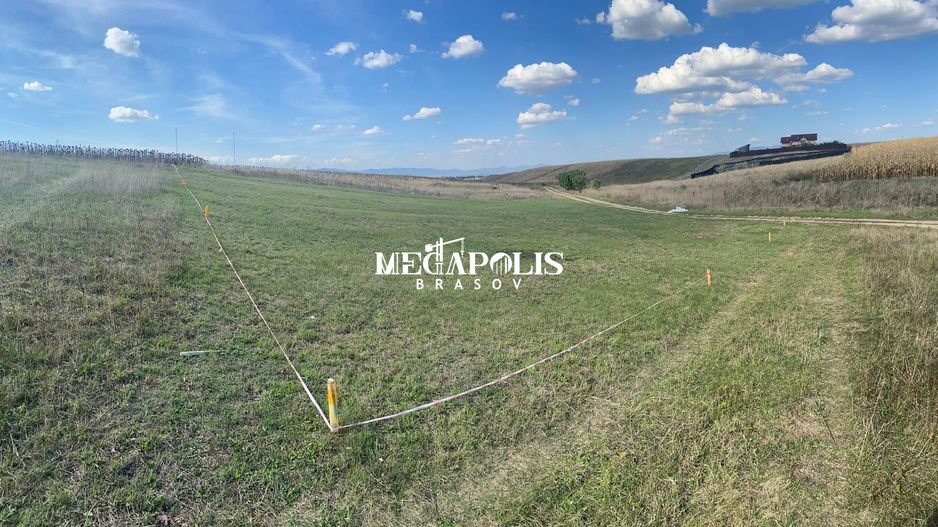 Teren Bod 1200mp/ 37 euro mp - Poză 3