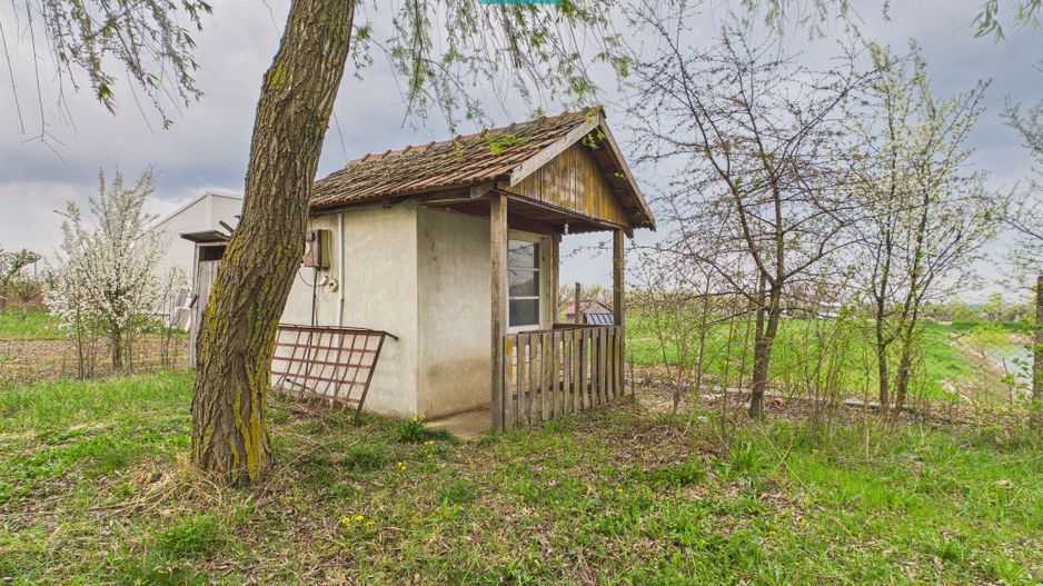 Teren 1 ha cu baltă populată – Alioș (Mașloc) - Poză 7