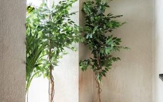 APARTAMENT SUPERB IN ZONA BANEASA LA INCHIRIERE - Poză 15