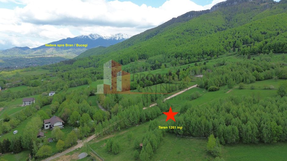 Teren intravilan 5.261 mp Tohănița | Deschidere 49 m | Utilități, lângă pădure - Poză 5