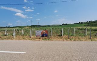 Teren intravilan cu PLANTATIE DE GOJII de vanzare in Racari - Poză 1