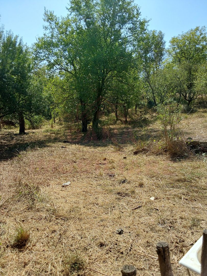 CASĂ IABLANIȚA  7 CAMERE \JUD. CS - Poză 16