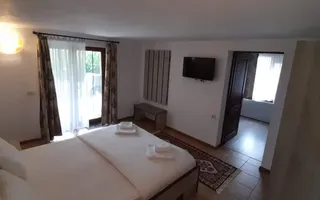 Pensiune superba in Muntii Apuseni, 2740 mp teren. COMISION ZERO! - Poză 16