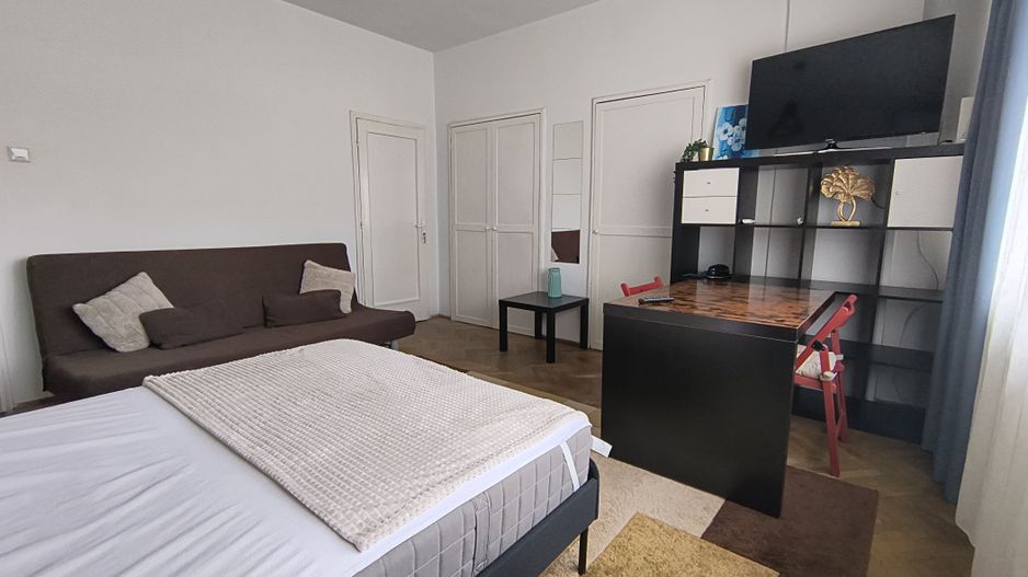 Sala Palatului- Cismigiu- Brezoianu - Poză 5