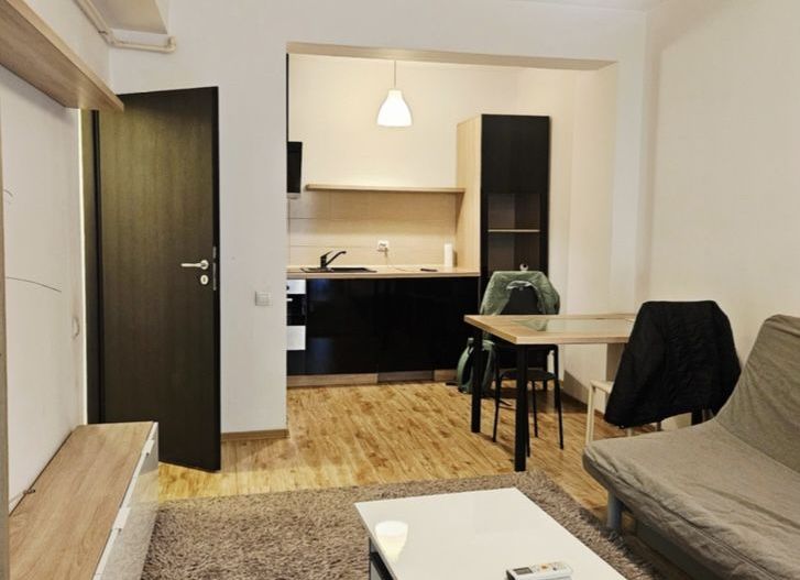 Apartament elegant, doua camere, Calea Mosilor - Poză 3