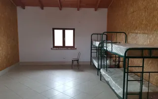 Ferma pomicola cu teren livada 270 ha - Timis - Poză 18