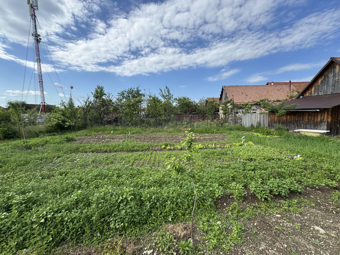 Casa individuala in Arpasu de Sus, teren mare, partial renovata - Poză 29