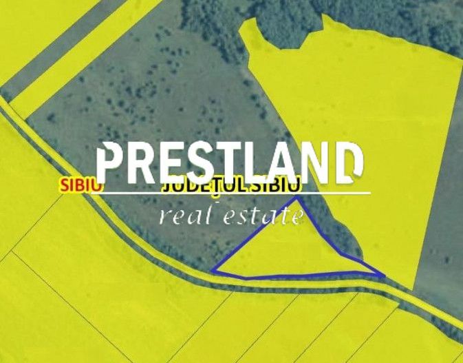 Teren extravilan-Dealul Sibiului - Poză 5