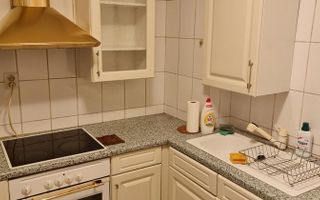 Apartament Piata Victoriei // Iancu de Hunedoara - Poză 4