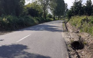 Teren  | Intravilan |5.000 MP | Valea Avrigului - Poză 3