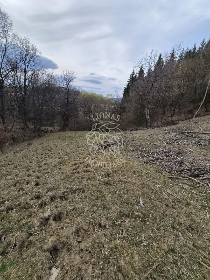 Teren extravilan 1500 mp,  5 min de centru, ideal Cabana, invetitie - Poză 3