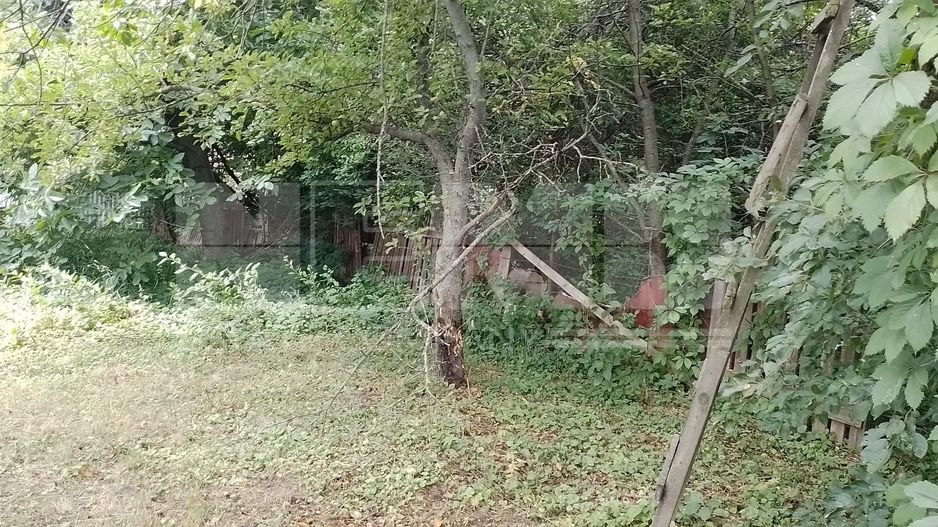 Teren intravilan | Zamca, Suceava | 243.000 Euro - Poză 10