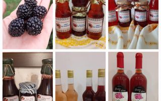 Ferma agricola, plantatii de mure, trandafiri, vita-de-vie - Poză 16