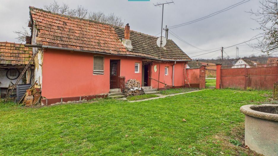 Casă, anexă şi grădină – Dorgoş - Poză 3