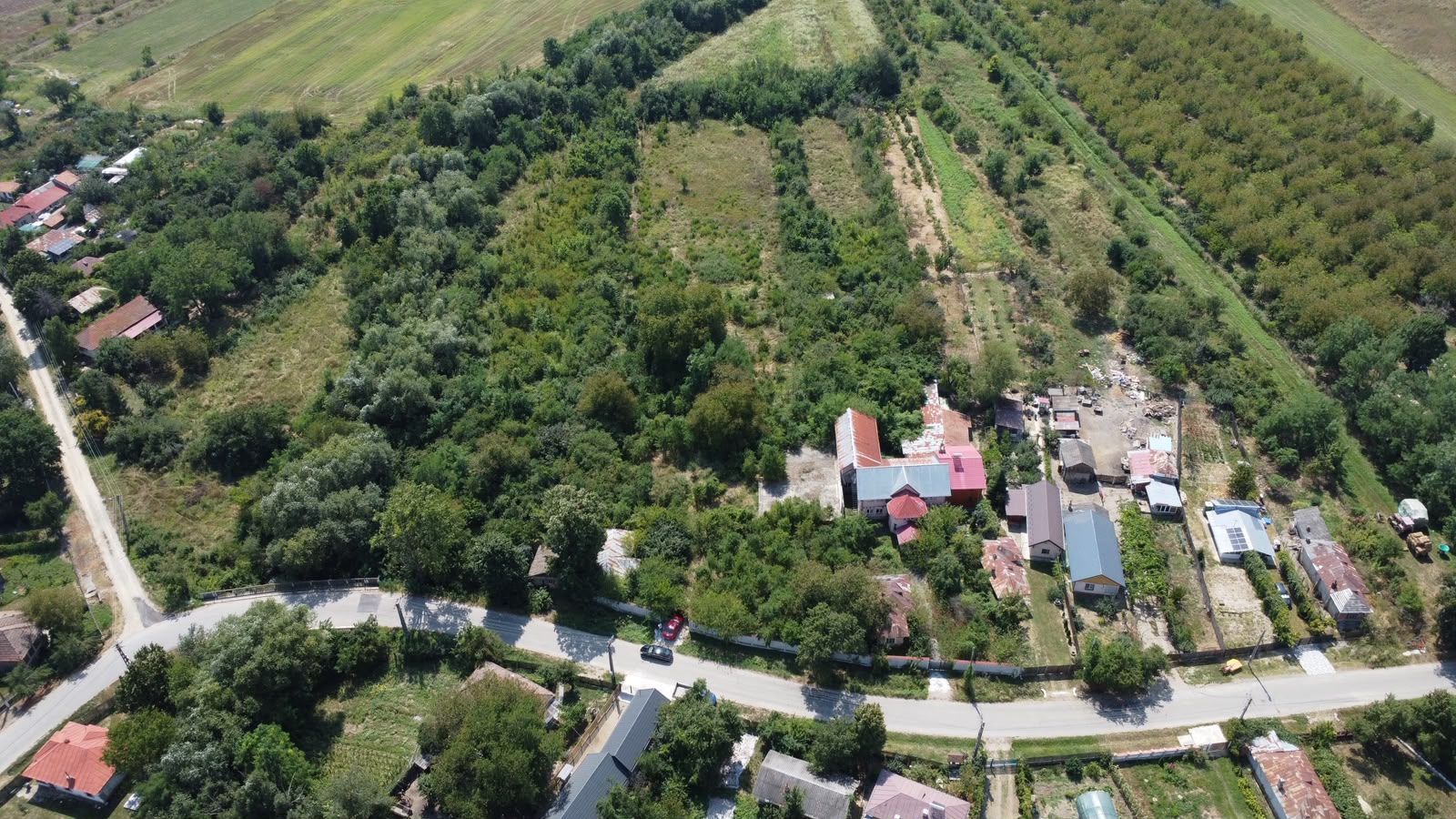 Teren 7808mp Bolovani - comuna Cornățelu (COMISON ZERO) - Poză 4