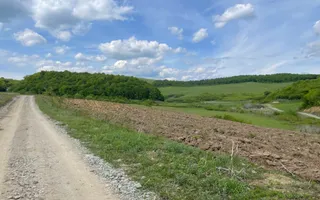 Teren extravilan 10000 mp, Jelna. - Poză 17