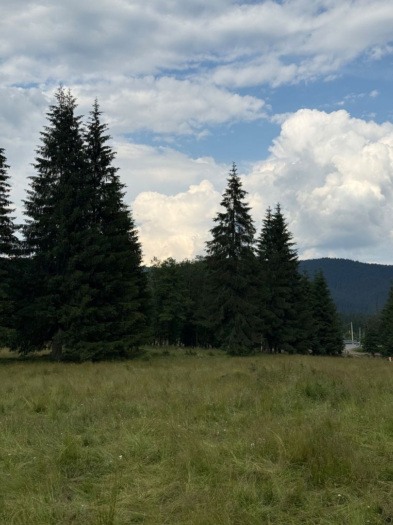 PARCELE DE VÂNZARE, pe malul râului BÂSCA, COMANDAU, COVASNA - Poză 11