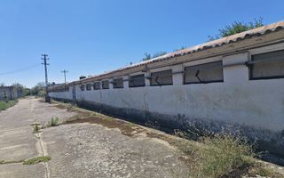 Spațiu industrial -fermă Orțișoara - Poză 7