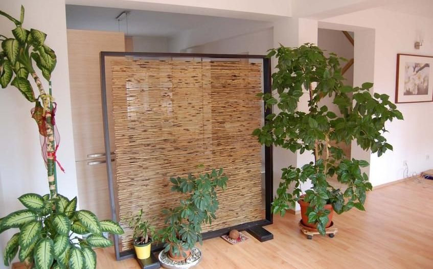 Vila cocheta 3 camere in cartierul Azur, Pipera - Poză 2