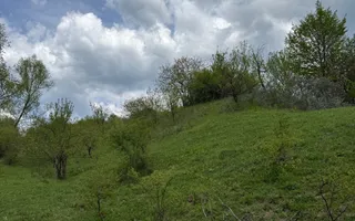 Teren intravilan 2440mp cu autorizație de construire și proiect ! - Poză 12