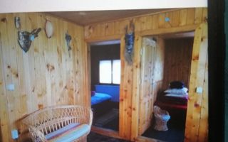 CASA 4 CAMERE, TEREN 290 MP, RUCAR, ARGES - Poză 9