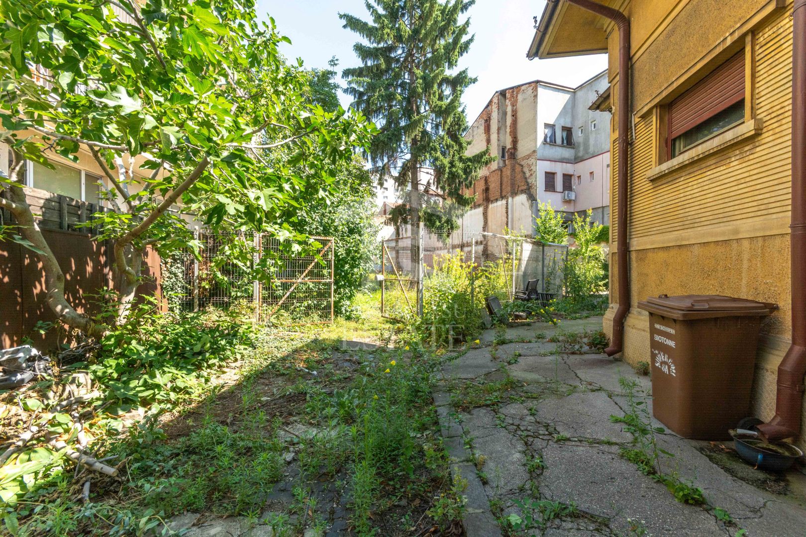 Stefan cel Mare - Tunari - Barbu Mumuleanu teren 381 mp - Poză 7