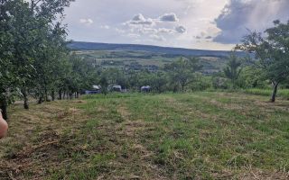 Teren Chicerea – 740 mp, lângă școală - Poză 2