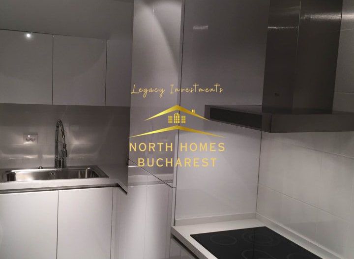 Apartament tip duplex in zona Capitale,  221mp: parter + demisol - Poză 10