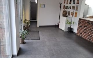 SPATIU COMERCIAL PLUS CASA DE VANZARE IN HOLBOCA 250 000 EURO - Poză 8