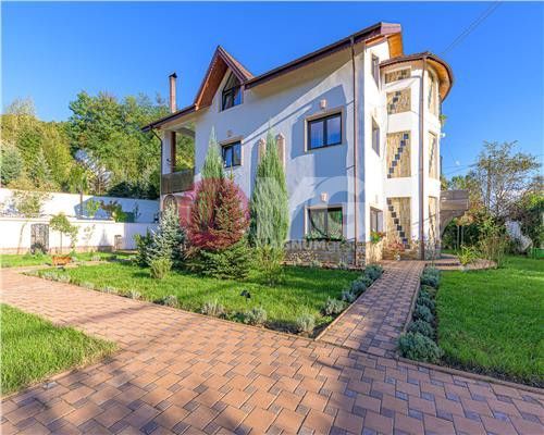 Domeniu de vanzare, Baile Govora teren 20875mp - Poză 4