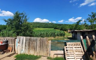 Casă / Vilă cu 2 camere de vânzare în Totoesti - Poză 8