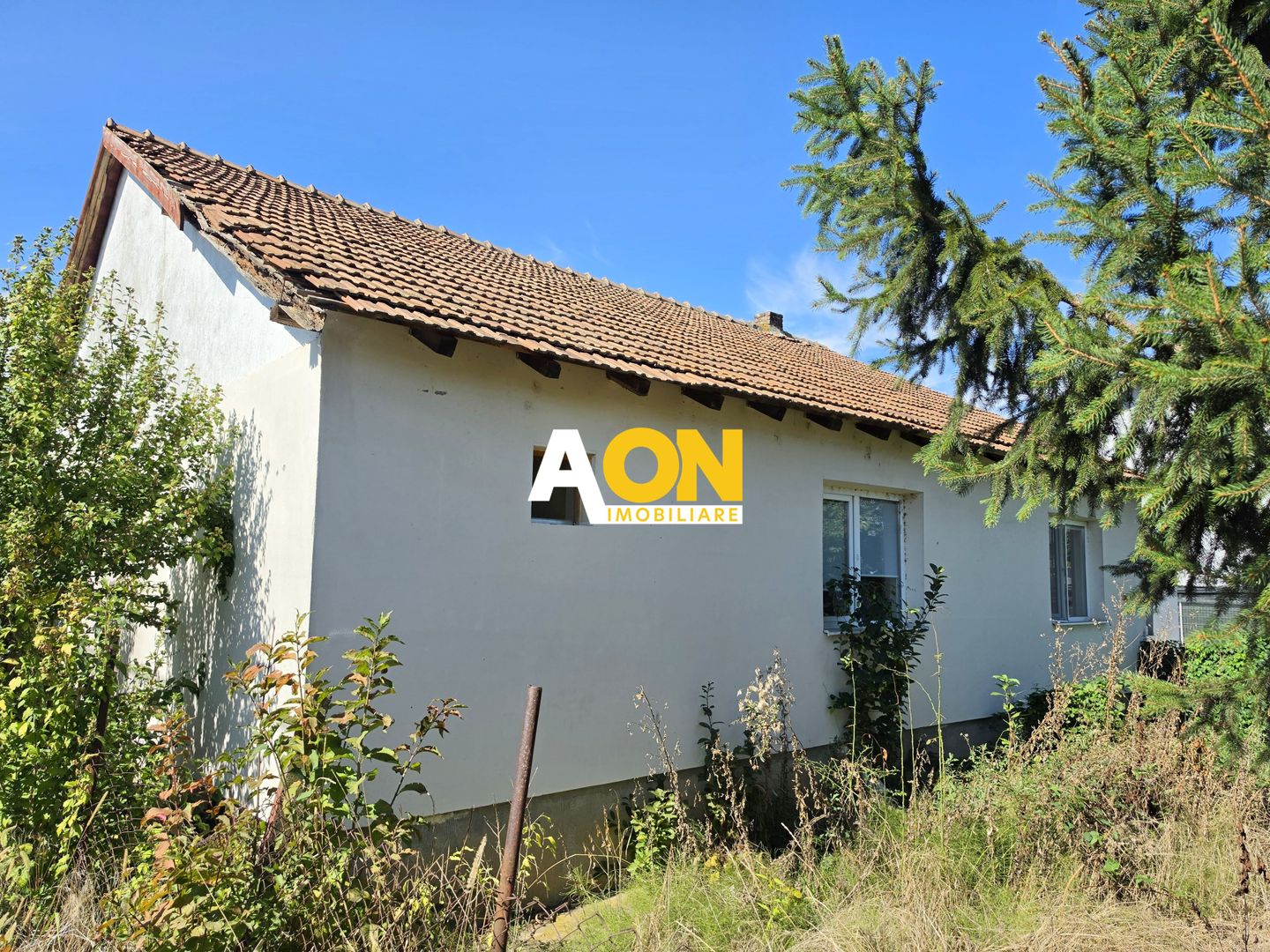 Casa individuala 3 camere, 323 mp teren,  Centru, zona Lipoveni - Poză 2
