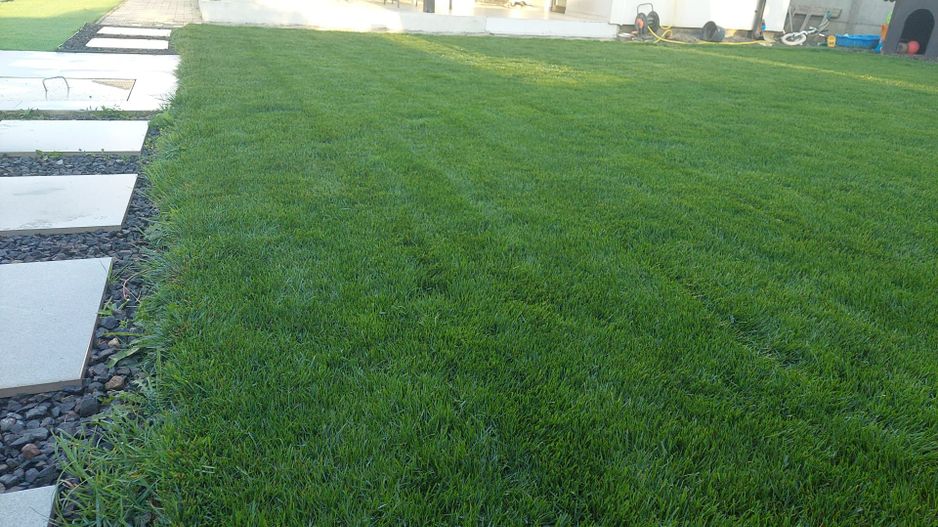 Casa premium cu piscina, panouri solare si teren de 520 mp – Giarmata Vii - Poză 35