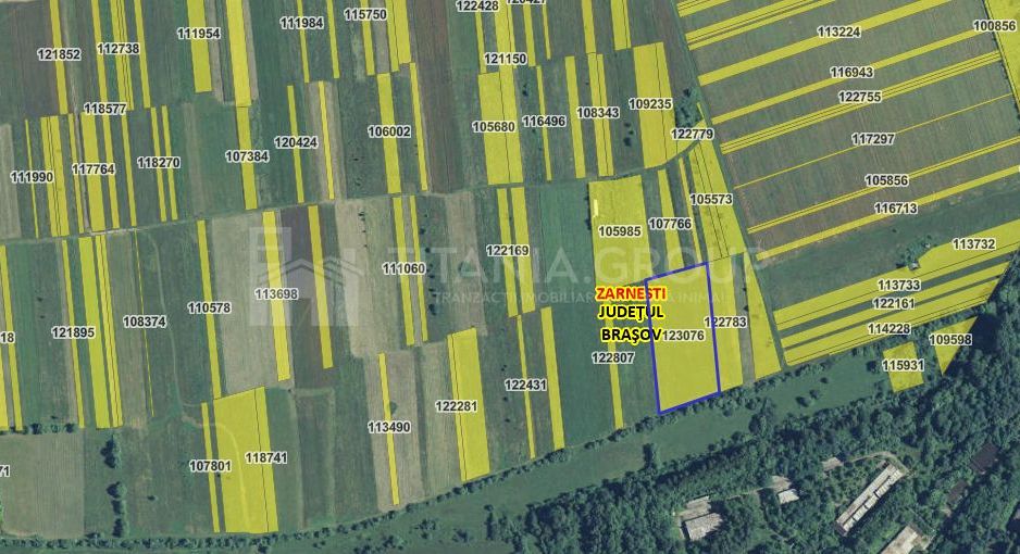 Teren intravilan, 7838 mp, cu priveliște superbă spre munți – Zărnești - Poză 11