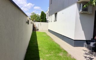 Padurea Craiului - Poză 5