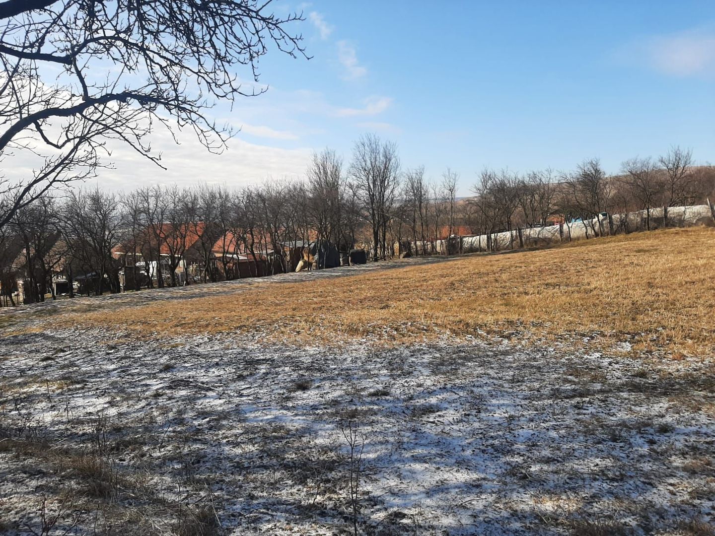 Teren de vanzare in Rediu - Poză 3