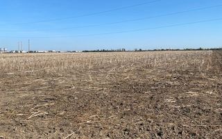 Teren agricol în Zona Sagului - Poză 9