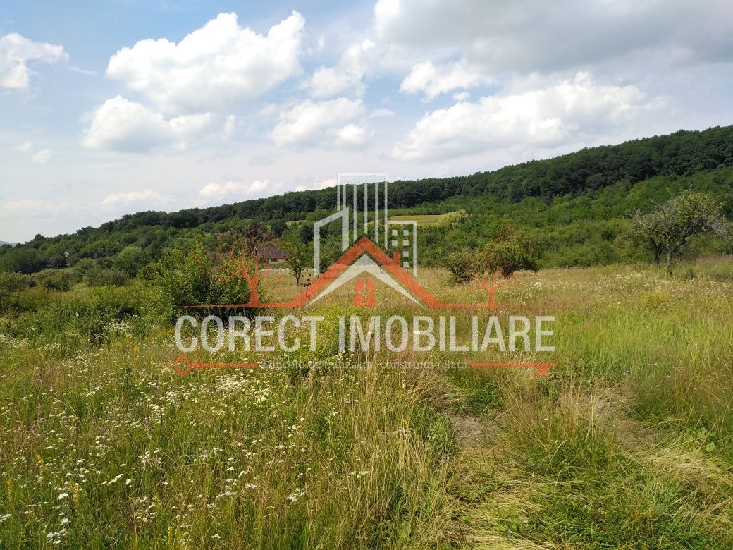 Va oferim spre vanzare teren zona valea budacului cartier raal - Poză 2