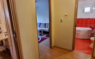 Apartament cu 1 Camera, Etaj 1, Zona Cetate - Poză 3