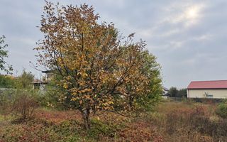 DE VANZARE Teren intravilan 1.499 mp Bragadiru | POT 50% | P+2E+M - Poză 9