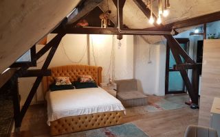 Aartament 5 camere de inchiriat in vila et 2, Parc Carol, Unirii-Tineretului - Poză 2