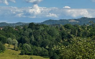 TEREN INTRAVILAN,  SUPRAFAȚA 3446 MP, BUGHEA DE SUS, ARGES - Poză 8