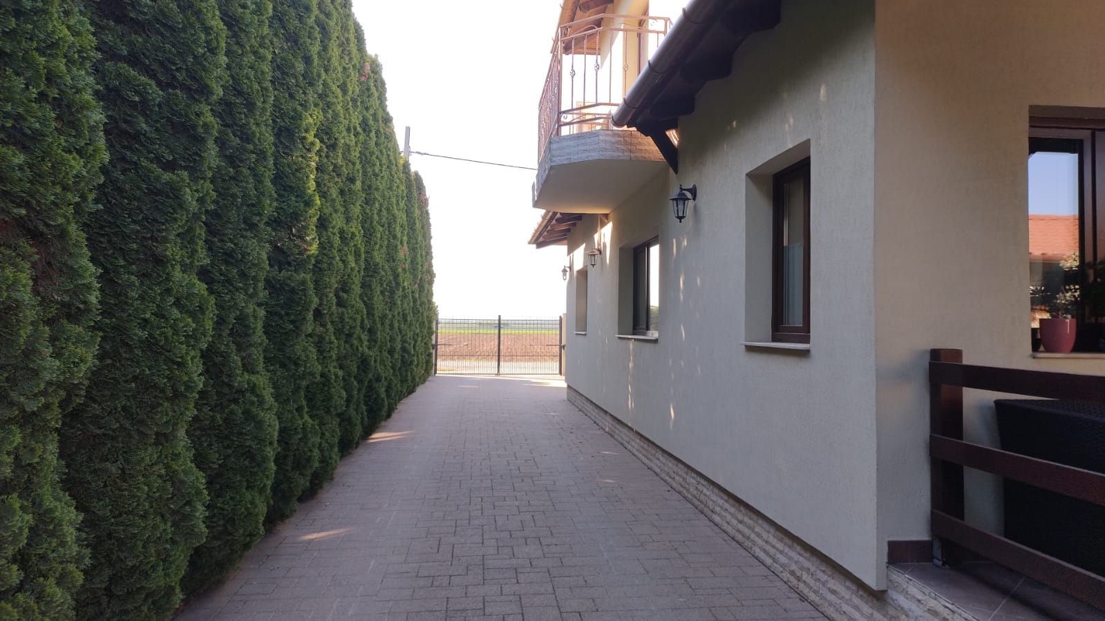 BRASADAS vinde vila 5 cam 190mp teren 10 ari str. Dara. - Poză 9