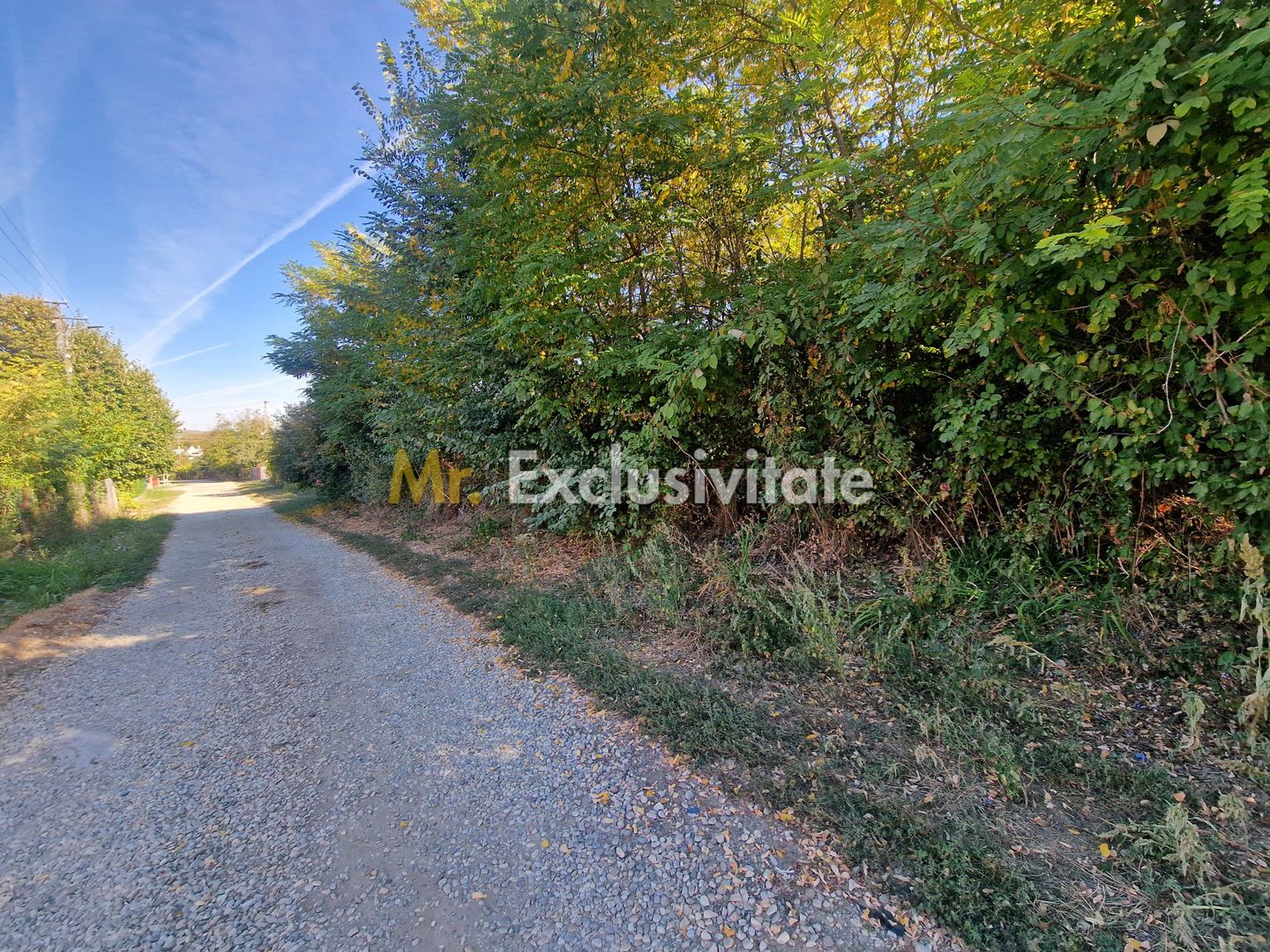Teren intravilan Topoloveni - Poză 3