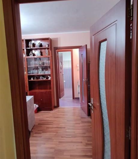 2 camere confort 1 zona Dambovita parter inalt mobilat si utilat - Poză 3