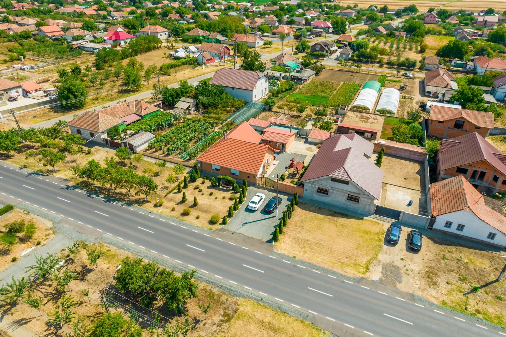 Casă spațioasă la sol în Macea - Poză 37