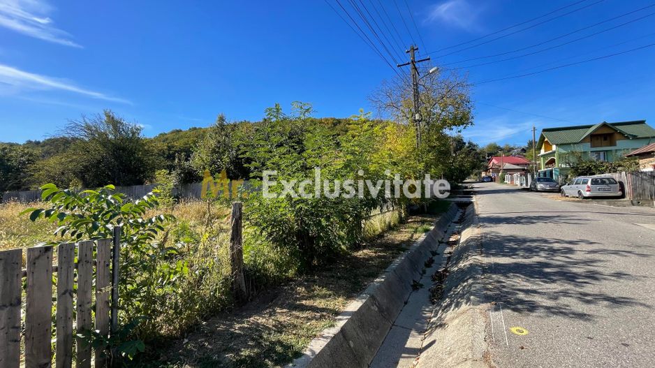 Teren 1220mp intravilan Bascov, AG - Poză 3