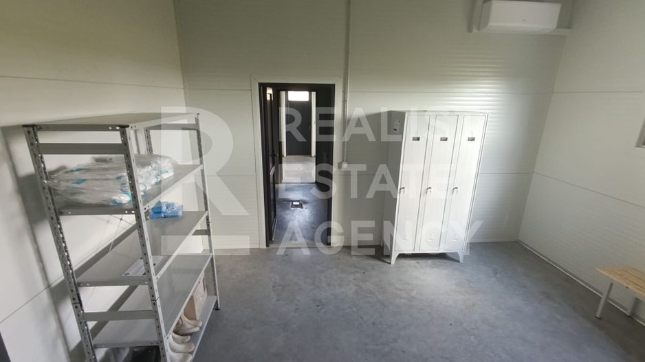 Spațiu comercial, producere+plantație de aronie, Timiș - Poză 13